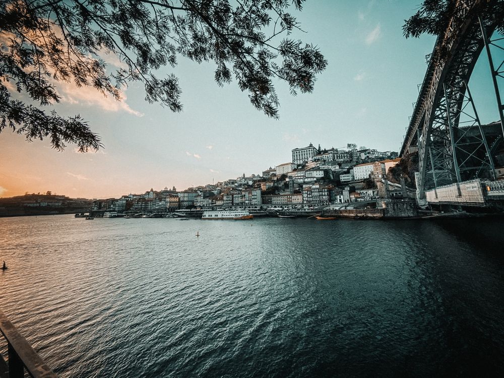 Under the bridge in Porto with tree