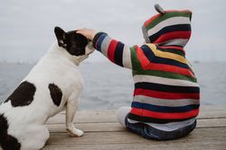 Anonymous kid petting dog on pier