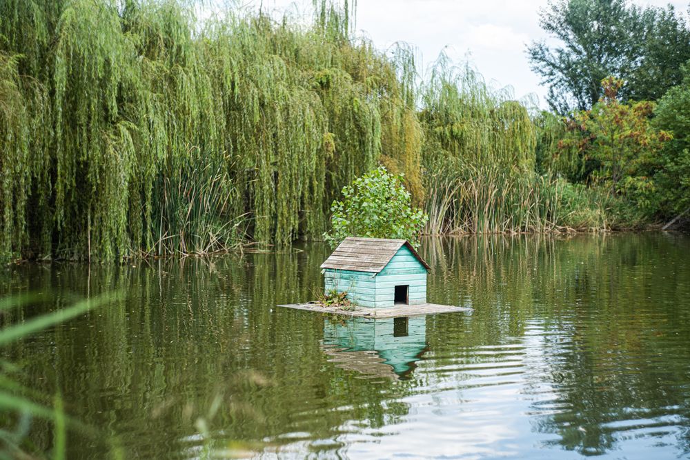 Pond with animals in the park