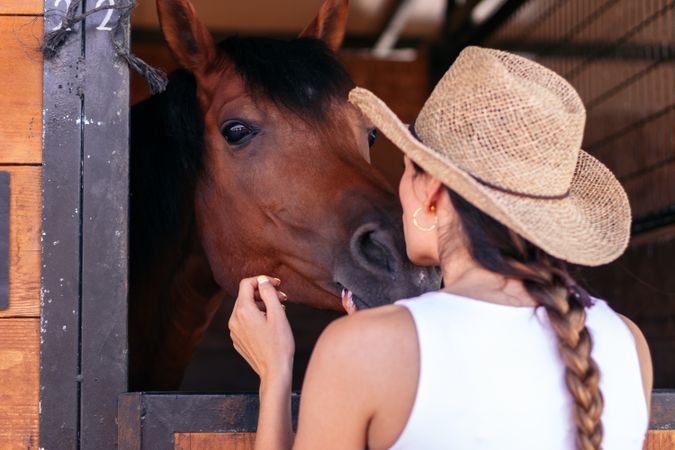 Woman taking care of his brown horse in the stable