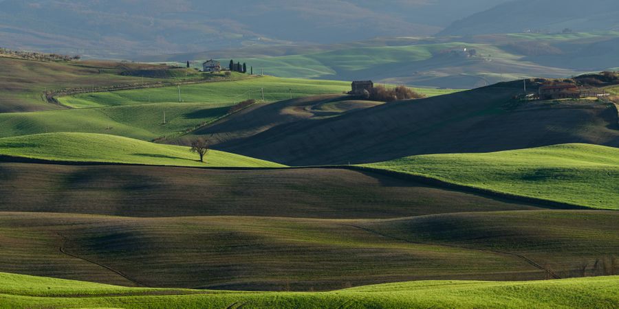Wonderful empty green fields
