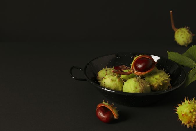 Fresh and ripe chestnuts, space for text