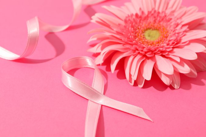 Pink awareness ribbon and gerbera on color background, space for text.