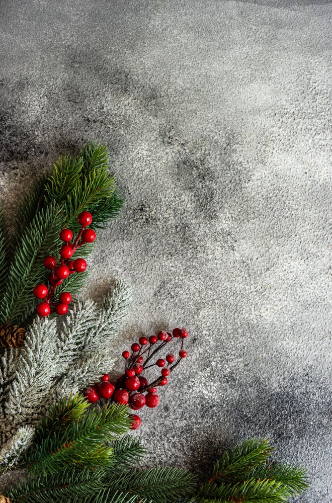 Christmas frame with pine branch and holly on stone background