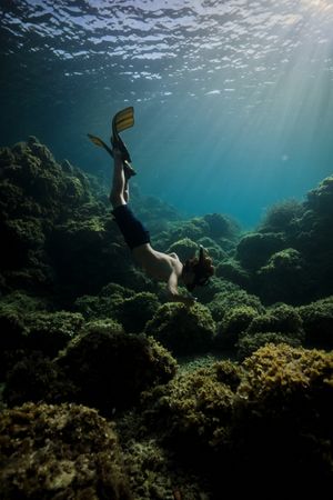 Male diver exploring corals underwater