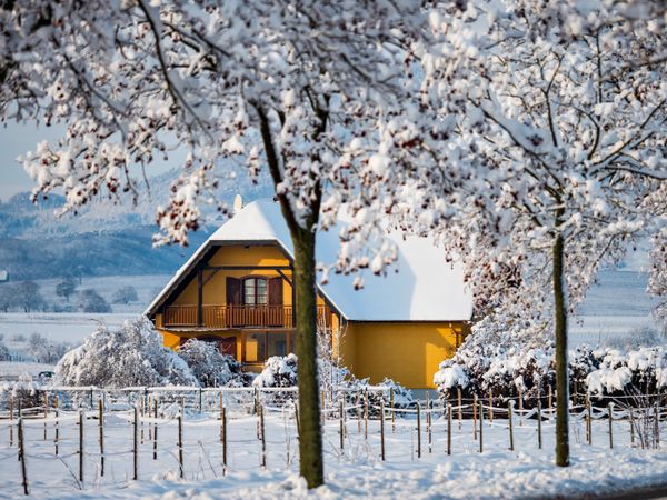 Winter's Tale. Snow-covered clean light landscape of Alsace.