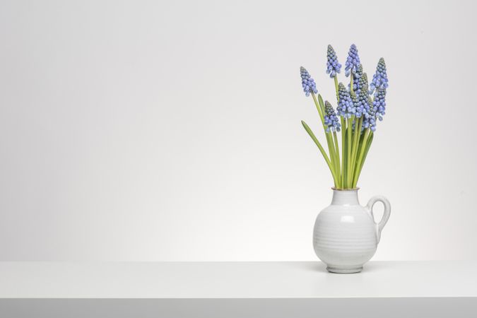 Bouquet of grape hyacinths in a vase on a shelf at a light background