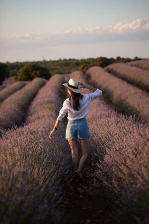 Anonymous woman walking in lavender field