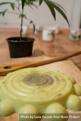 Close up of cannabis infused butter with plant in background 4mZrdb