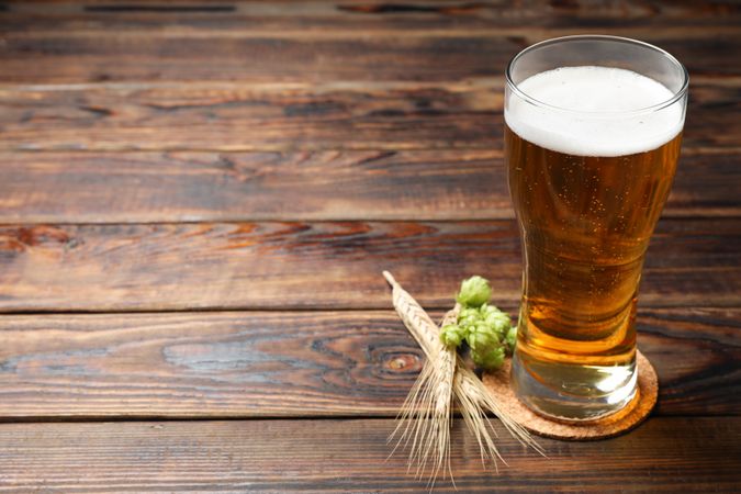 Mug with beer, spikelets and hop on wooden table, space for text