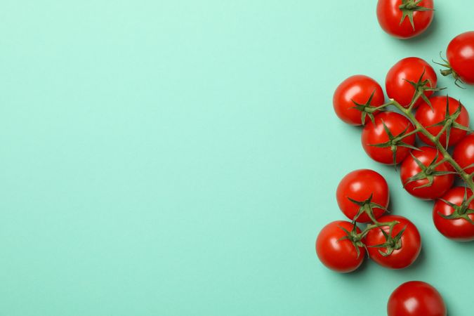 Fresh ripe tomatoes on mint background, top view