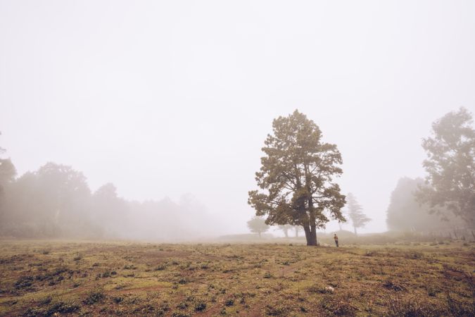 Hiker walking on foggy rural field