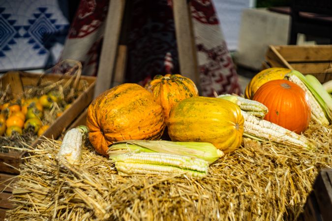 Squash and corn on hay on Tbilisoba festival