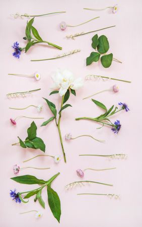 Lily of the valley, cornflowers, daisies, peonies in rows over pastel powder pink