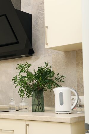 Vase with plant and electric kettle on kitchen table