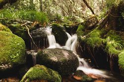 Little waterfall between stones in forest