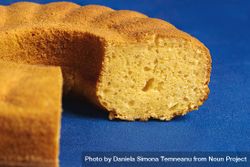 Close up of sweet cornmeal cake sectioned 41yVZ4