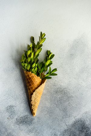 Easter card concept with green branch in waffle cone on grey counter