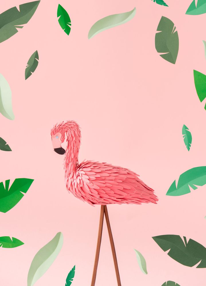 Pink flamingos on pink background, with green leaves - Free Photo (41j1gb)  - Noun Project