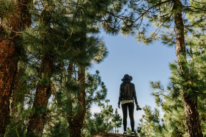 Woman in high verdant woods in forest