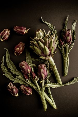 Fresh ripe artichokes placed on dark background