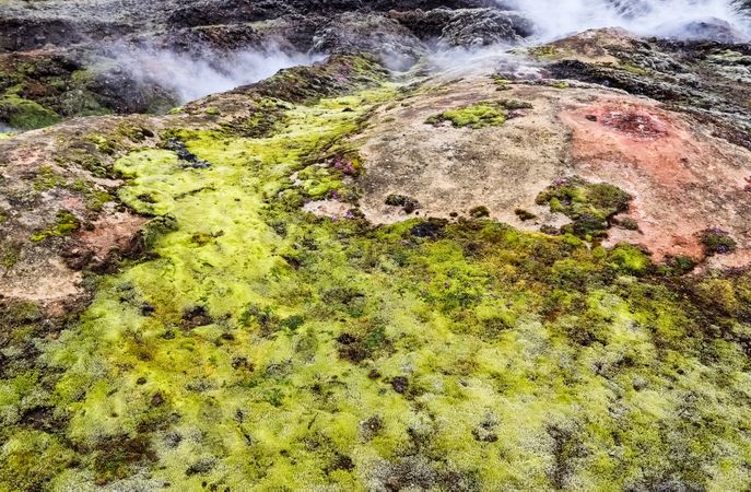 Geothermal area recovering with colorful moss and fumaroles in iceland