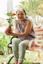 Cultivating Joy, Mature Woman's Creative Retreat