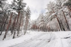 Winter snowy empty country road