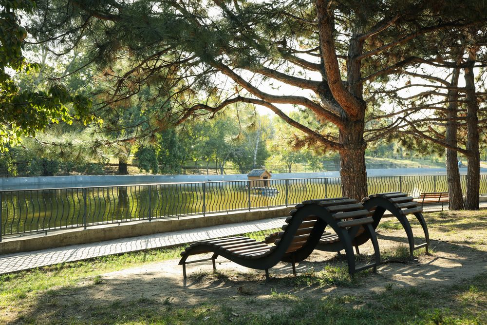 Beautiful city park with lake and sunbeds in sunny morning