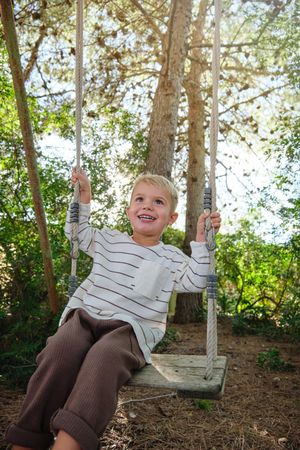 Cheerful boy riding swing on tree in park