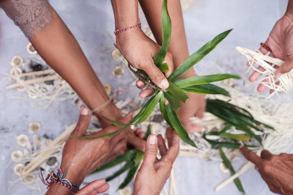 People holding green leaves