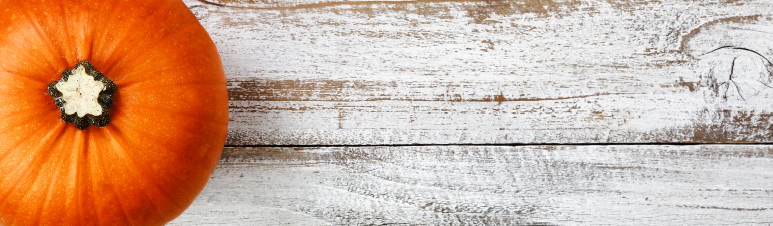 Real pumpkin on rustic wood for Autumn Halloween holiday concept