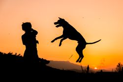 Female playing with dog at hilly area in evening