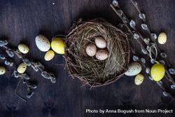 Top view of nest with eggs and pussy willow branches on wooden table 0WOXEx