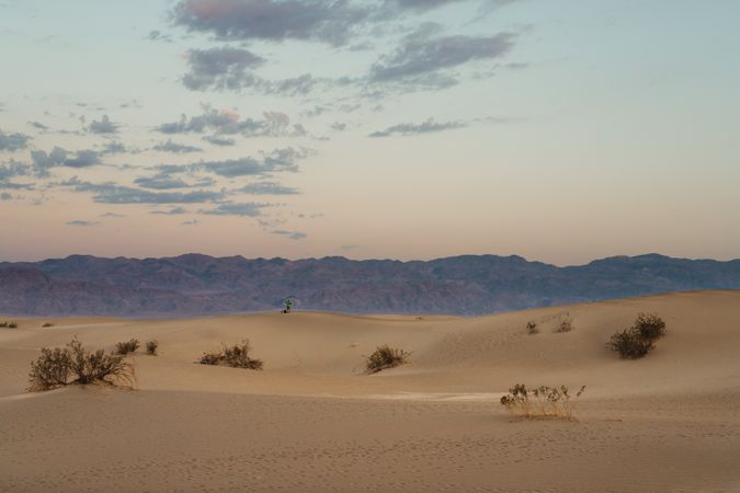 desert in dry sandy dunes in Death Valley USA