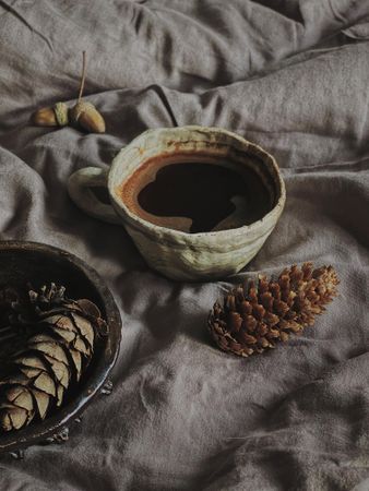 Cup of coffee surrounded by pine cones on grey bedding