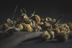 Spoonful of dried chamomile on wooden table