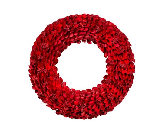 Bright red holiday wreath isolated on plane background