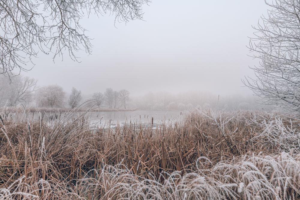 Pond in the winter time