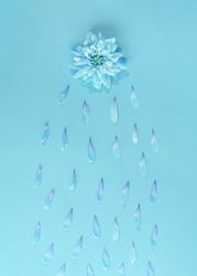Blue flower raining petals on blue background