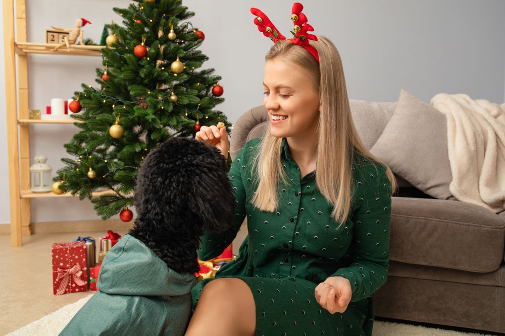 Concept of Merry Christmas, young woman and Toy poodle in Christmas decorated room