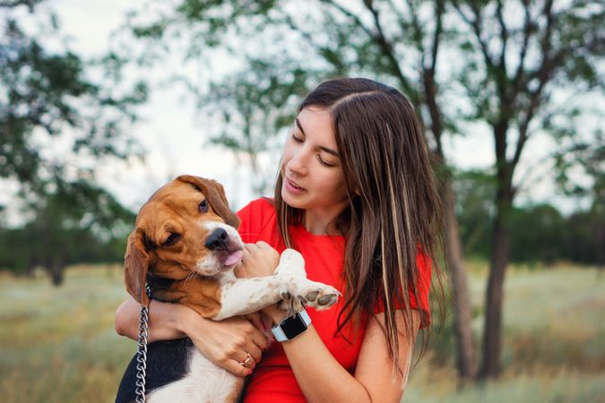 Young woman holds dog beagle