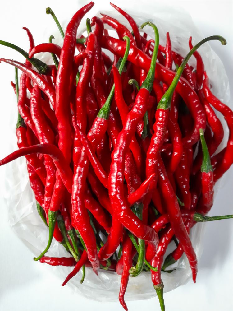 Fresh Red Chili Peppers on Blank Background