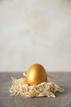 Golden egg, pension savings, investments, retirement, space for text