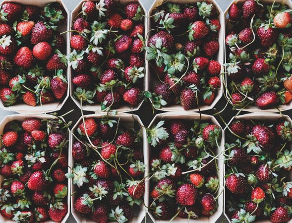 Strawberries in eco-friendly plastic-free boxes