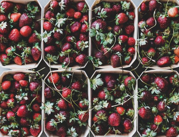 Strawberries in eco-friendly plastic-free boxes