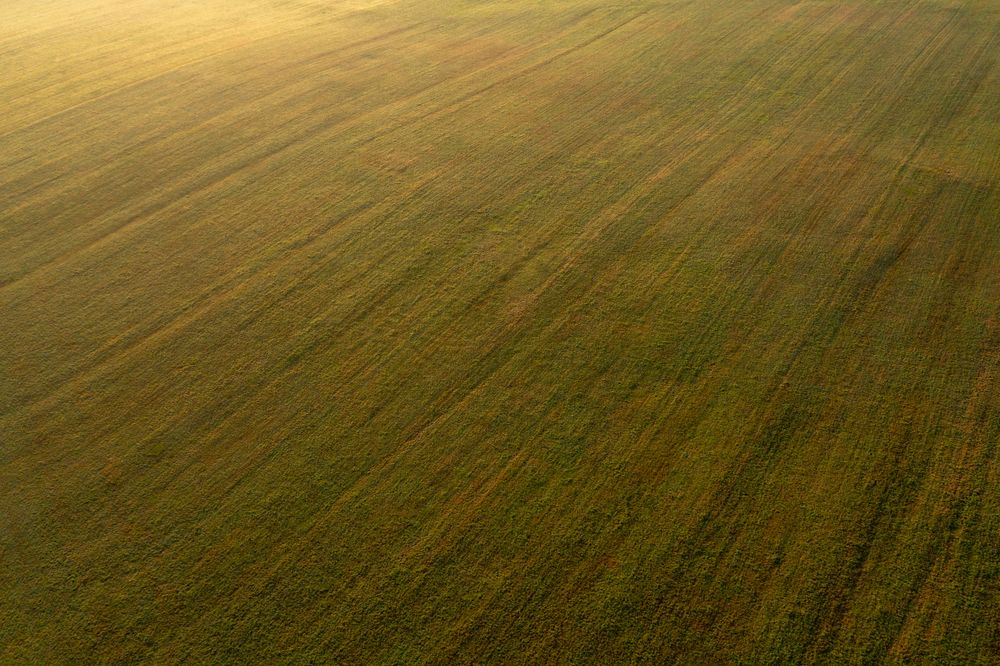 Drone aerial view at golden hour with agricultural fields