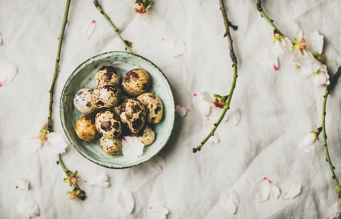 Quail eggs in bowl and blooming branches of almond tree, selective focus