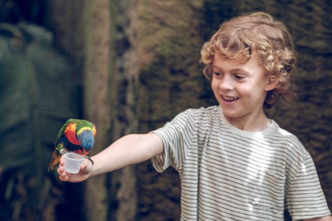 Cheerful boy with parrot on hand