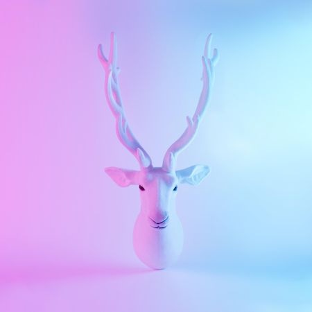 Reindeer head in vivid gradient neon colors
